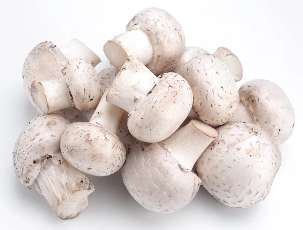 Handful of champignons on a white background — Stock Photo, Image