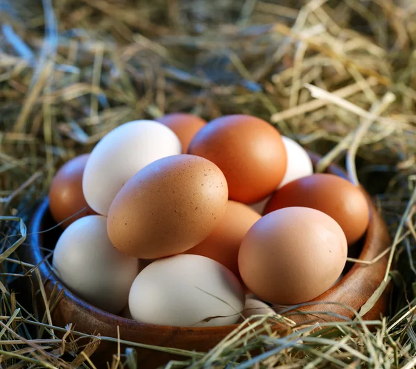 朝の光でわらの鶏の卵. — ストック写真