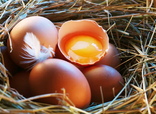 Kippeneieren in het stro met de helft een gebroken ei in de ochtend licht. — Stockfoto