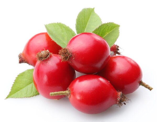 Hip on a white background