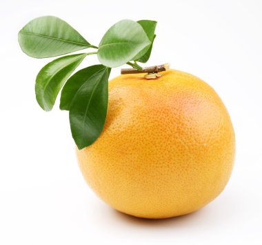 Ripe grapefruit. clipart