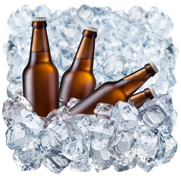 Бутылки пива на льду — стоковое фото