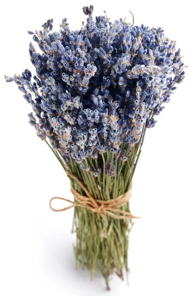 Bundle of dried lavender. — Stock Photo, Image