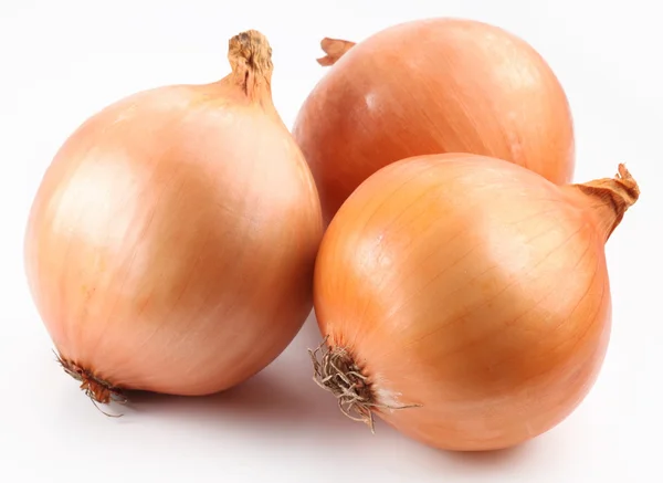 Fresh bulbs of onion. — Stock Photo, Image