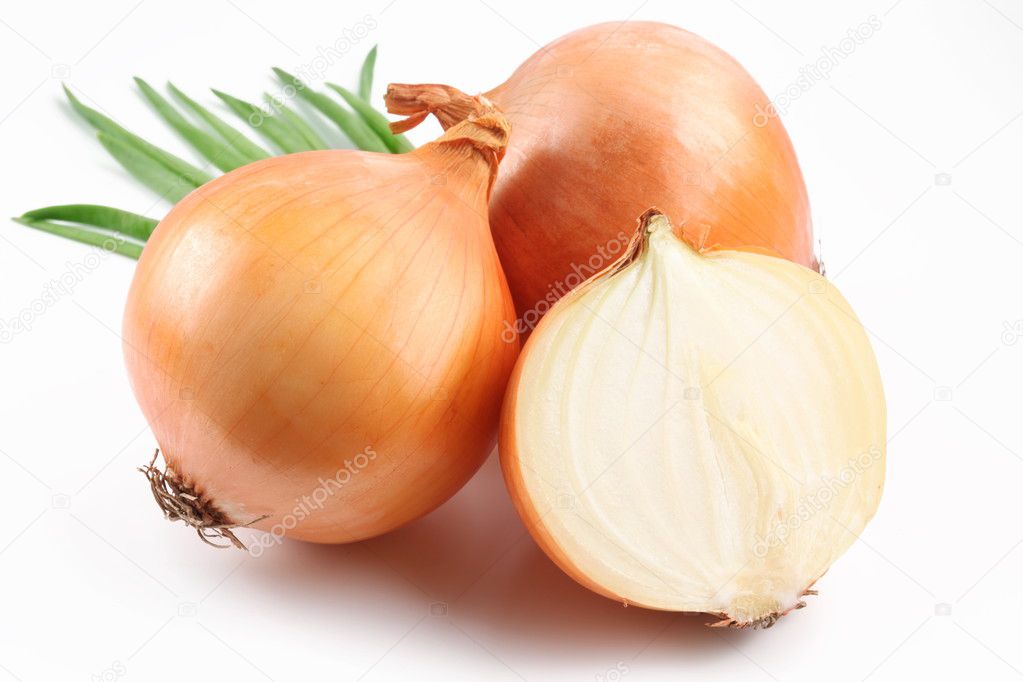 Fresh bulbs of onion.