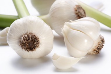 Young garlic on a white background clipart