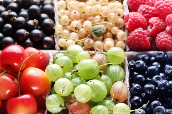Clourful berries — Stock Photo, Image