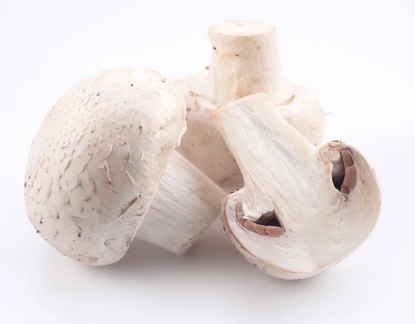 Une poignée de champignons sur fond blanc — Photo