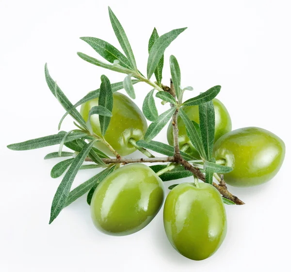 Green olives with a branch on a white background — Stock Photo, Image
