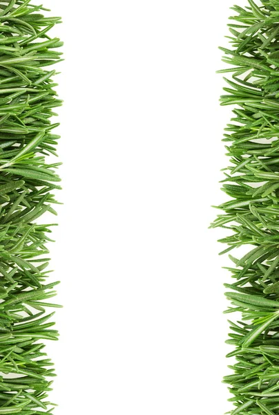 The leaves of rosemary on the edge of the photos as a framework. — Stock Photo, Image