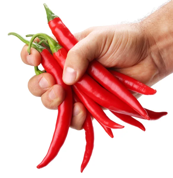 Pods spicy red chilli peppers on white background — Stockfoto
