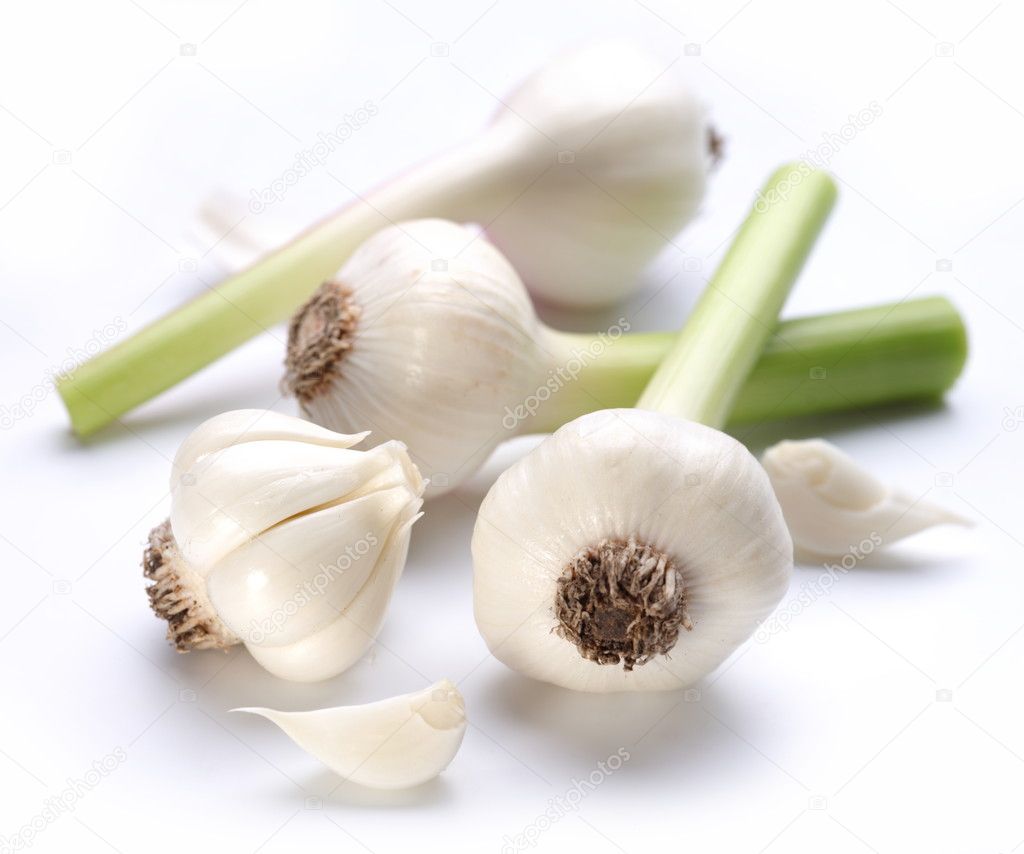 Young garlic on a white background