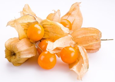 Beyaz arka planda physalis