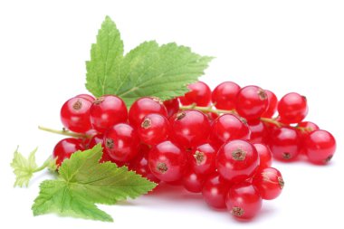 Bunch of red currants on a white background clipart