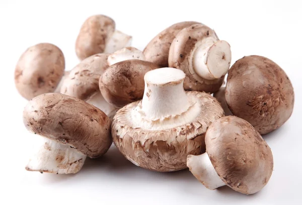 Cogumelos champignon real em um fundo branco — Fotografia de Stock