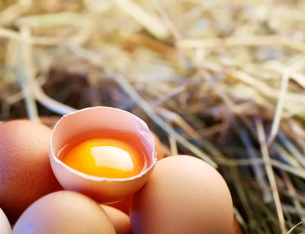 Куриные яйца в соломе с половиной разбитого яйца в утреннем свете . — стоковое фото