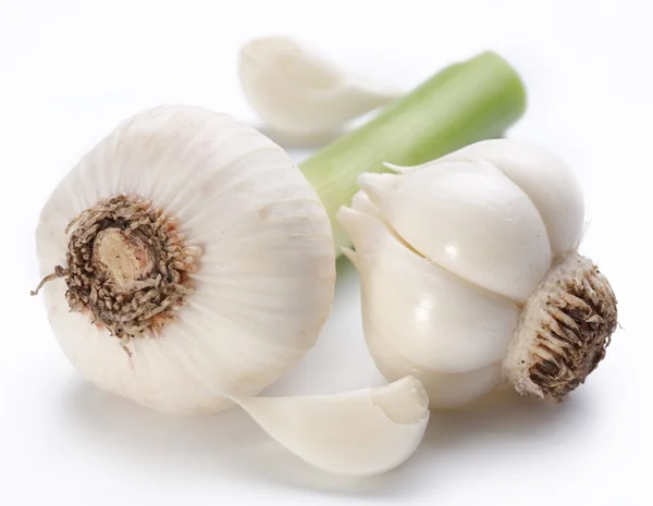 Young garlic on a white background — Stock Photo, Image