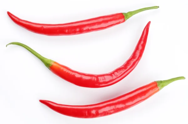 Cialde peperoncino rosso piccante su sfondo bianco — Foto Stock
