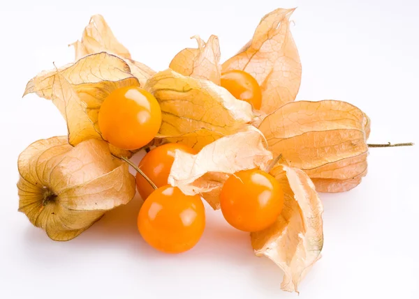 Beyaz arka planda physalis