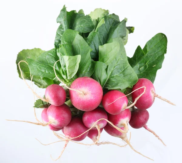 Bunch of radishes on a white background — Stock Photo, Image