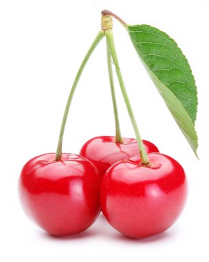 Three cherries clipart