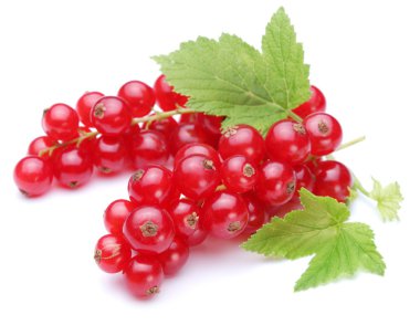 Bunch of red currants on a white background clipart