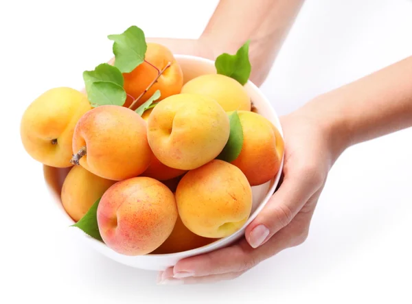 Crockery with mellow apricots. — Stock Photo, Image