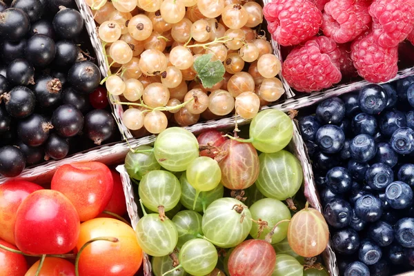 Clourful berries — Stock Photo, Image