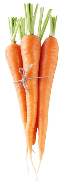 Cenouras frescas maduras em um fundo branco . — Fotografia de Stock