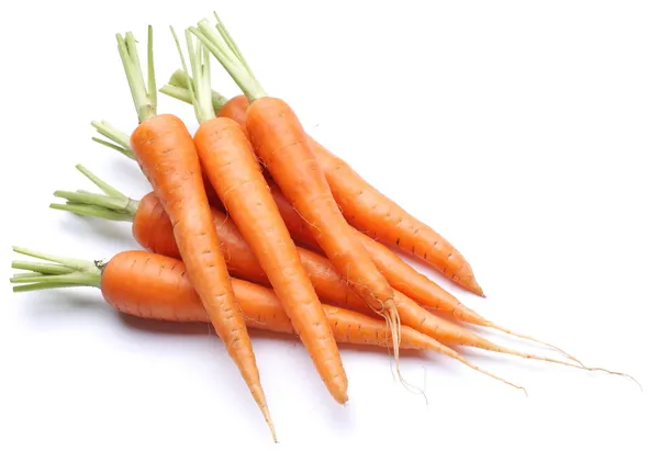 Cenouras frescas maduras em um fundo branco . — Fotografia de Stock