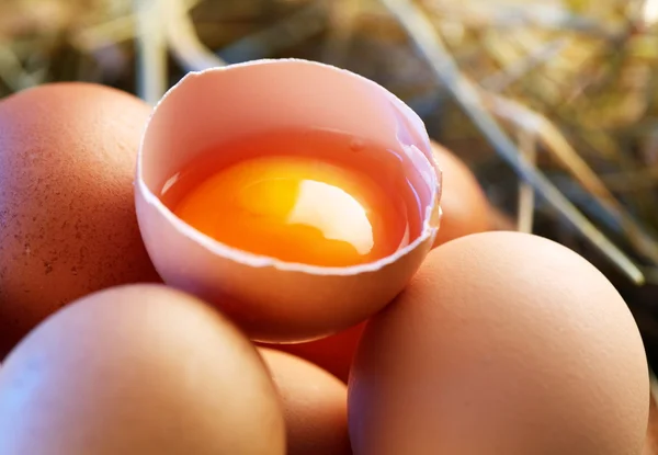 Κοτόπουλο αυγά στο άχυρο με μισό ένα σπασμένο αυγό στο φως πρωινού. — Φωτογραφία Αρχείου