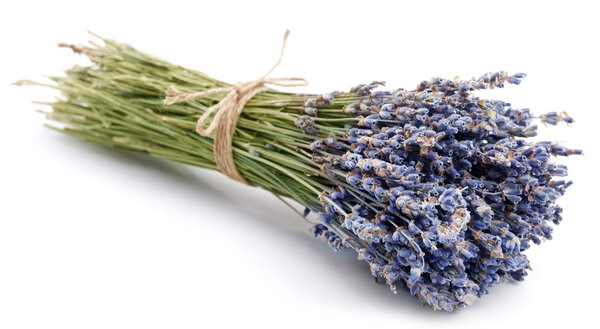 Bundle of dried lavender on a white background