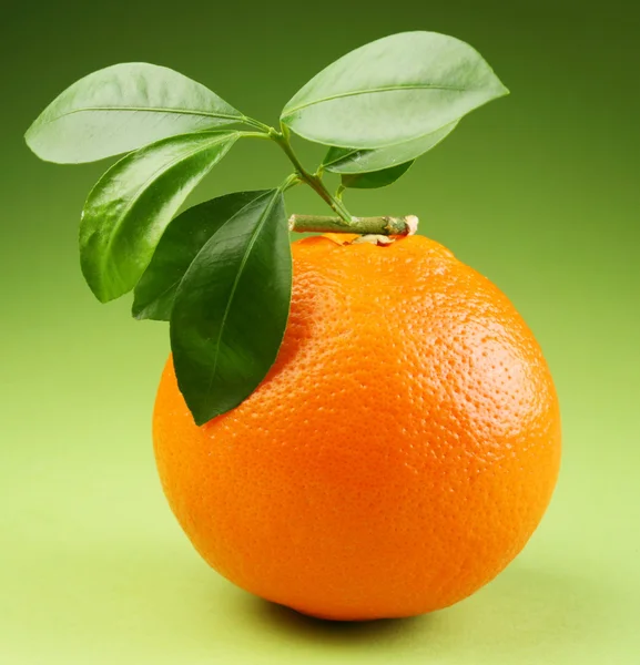 在绿色背景上的成熟橙色 — 图库照片