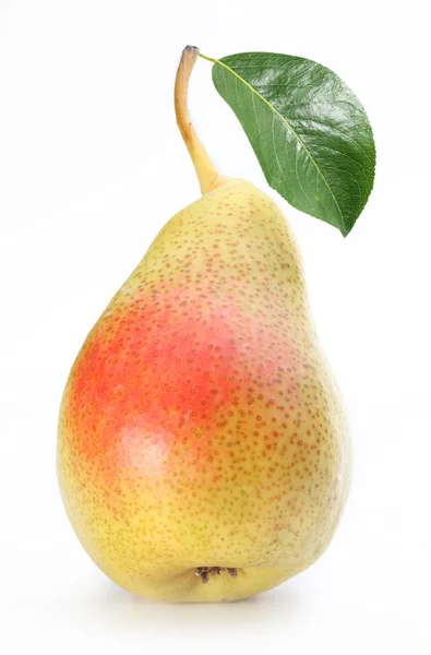 Una pera madura con una hoja . — Foto de Stock