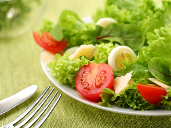 Yumurta ve yeşil bir arka plan üzerinde domates salatası. — Stok fotoğraf