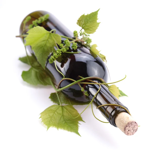 Garrafa de vinho na videira sobre um fundo branco — Fotografia de Stock