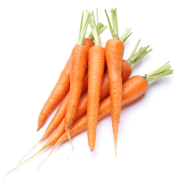 Zanahorias frescas maduras sobre un fondo blanco . —  Fotos de Stock