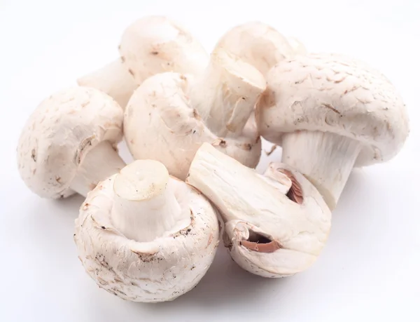 Una manciata di champignons su uno sfondo bianco — Foto Stock
