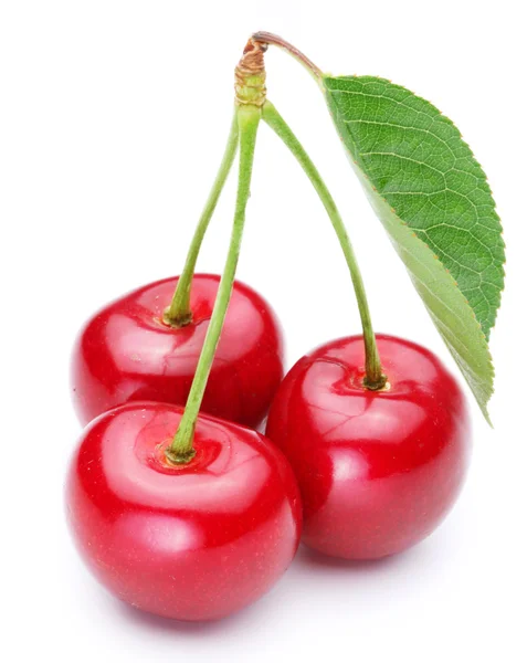 Three cherries with leaf. — Stock Photo, Image
