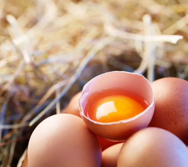 Chicken eggs in the straw with half a broken egg in the morning light. — Stock Photo, Image