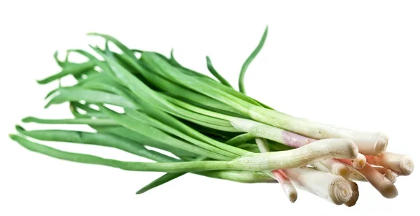 흰색 바탕에 녹색 양파 무리 — 스톡 사진