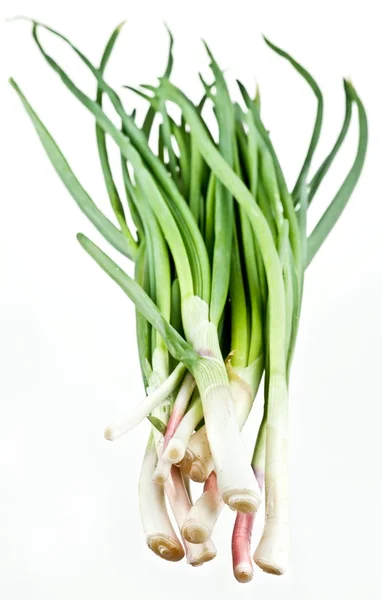 Cebolas verdes cacho em um fundo branco — Fotografia de Stock