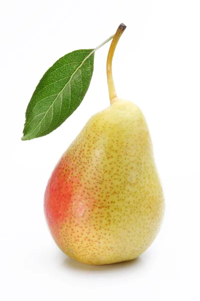 Ett moget päron med ett blad. — Stockfoto