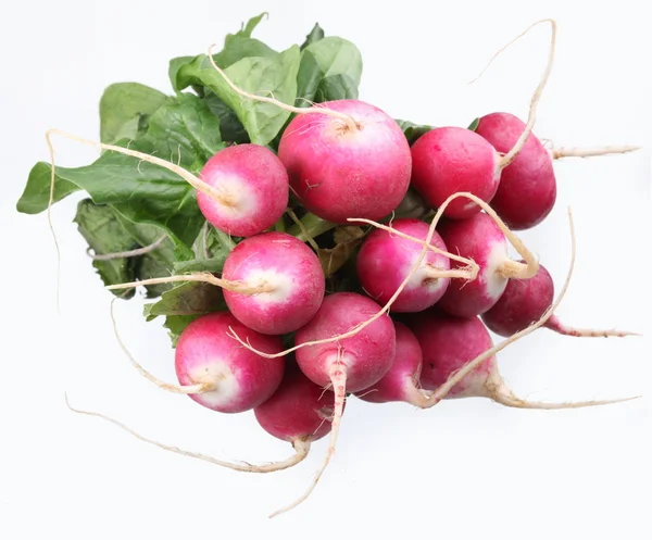 Bunch of radishes on a white background — Stock Photo, Image
