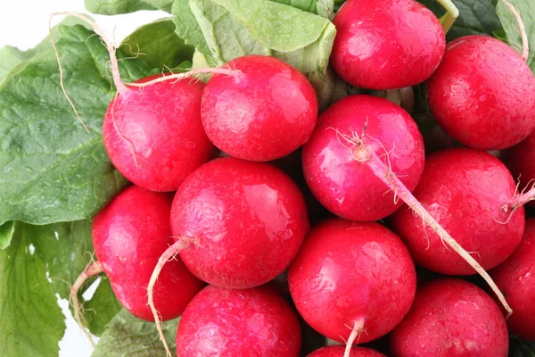 Bunch of radishes close up — Stock Photo, Image