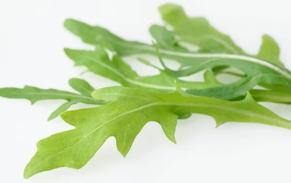 The leaves of eruca on a white background — Stock Photo, Image