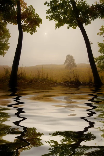 Autumn mist — Stock Photo, Image