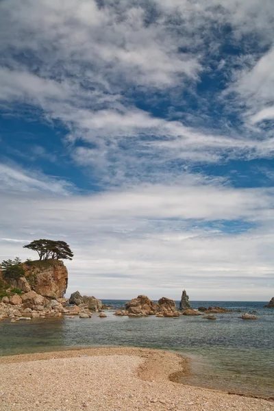Ağaç Denizi — Stok fotoğraf