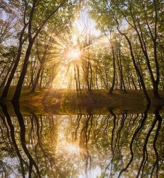 Autumn sun in the lake — Stock Photo, Image