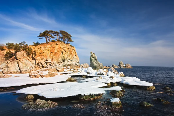 Зимний морской пейзаж — стоковое фото